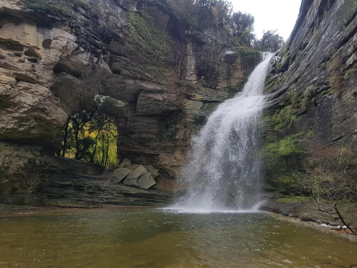 Santuari De La Salut De Sant Felíu de Pallarols المظهر الخارجي الصورة